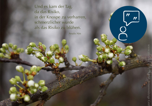 RISIKO ZU BLÜHEN | Anaiis Nin