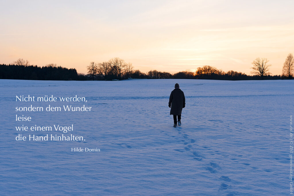 Nicht müde werden - Hilde Domin