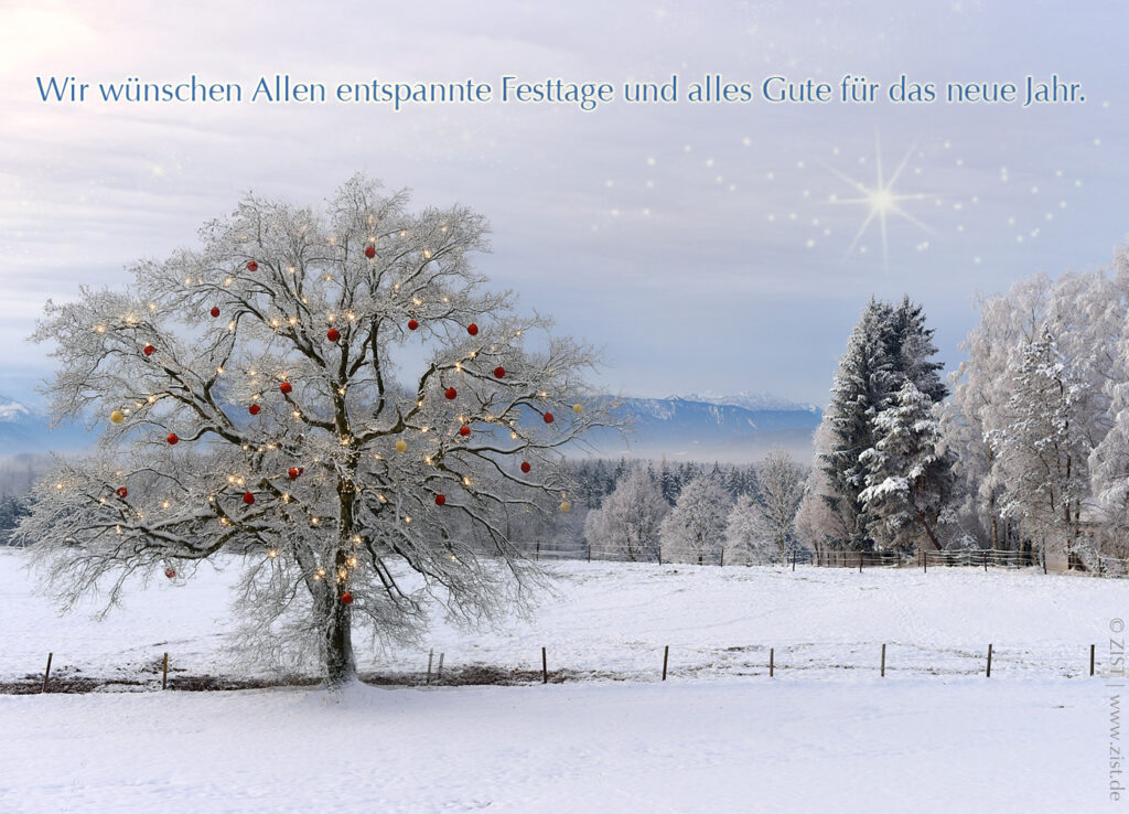 Weihnachten in ZIST